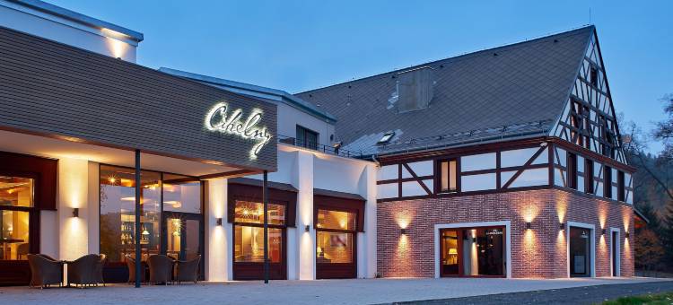奇莱尼高尔夫及健康度假村(Cihelny Golf & Wellness Resort)图片