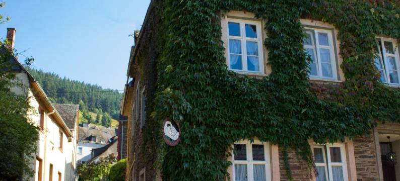 祖尔波斯特酒店 - 摩泽尔河畔城堡(Hotel Zur Post)图片