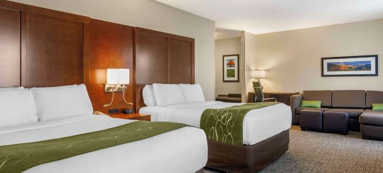 赫勒拿机场舒适套房酒店(Comfort Suites Helena Airport)图片