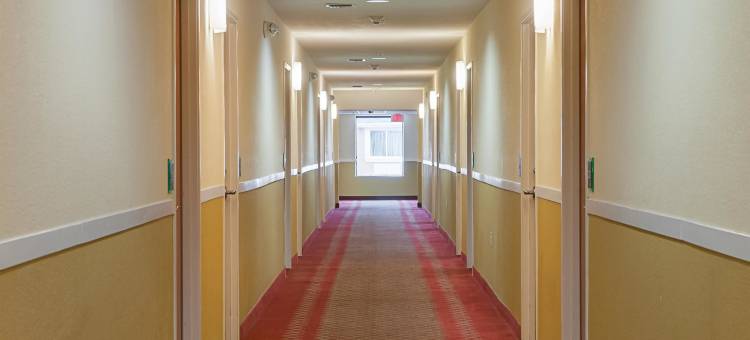 6号新奥尔良汽车旅馆(市中心附近)(Motel 6 New Orleans, la - Near Downtown)图片