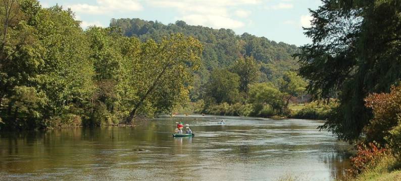 疗愈水泉小屋(The Cabins at Healing Springs)图片