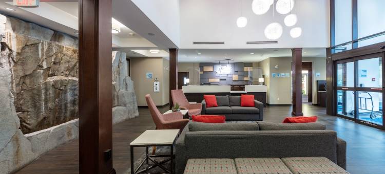 里弗波特列治文智选假日套房酒店(Holiday Inn Express & Suites Riverport Richmond by IHG)图片