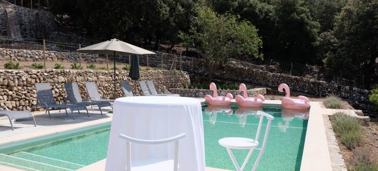 松阿尔兹内斯农家乐(Agroturismo Son Alzines)图片