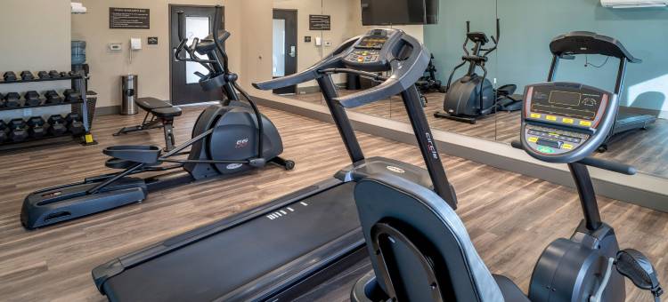 温菲尔德-泰伊斯谷美茵斯坦套房酒店(MainStay Suites Winfield-Teays Valley)图片