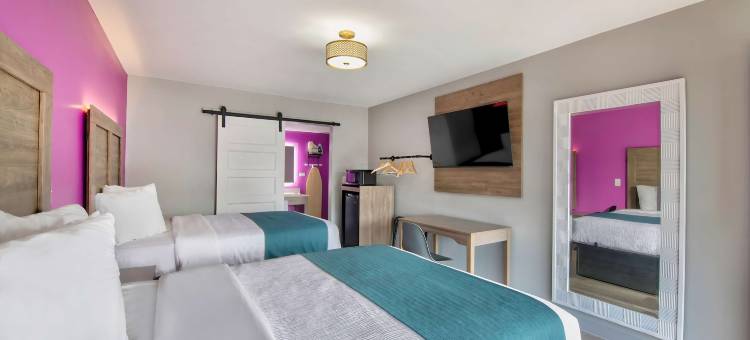 阿拉巴马 - 大学塔斯卡卢萨 6 号汽车旅馆酒店(Motel 6 Tuscaloosa, Al – University)图片