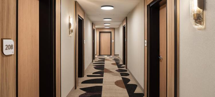 希尔顿花园酒店格林维尔大学(Hilton Garden Inn Greenville University Area)图片