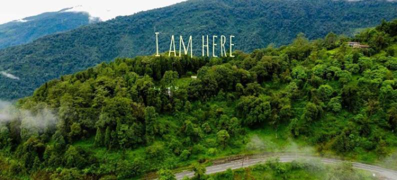 阿尔卑斯丛林住宿(The Alpine Jungle Stay)图片