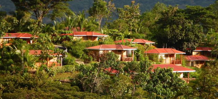 赛罗旅馆(Hotel Cerro Lodge)图片