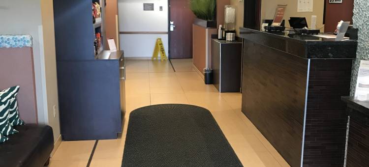 舒适套房酒店(Comfort Suites)图片