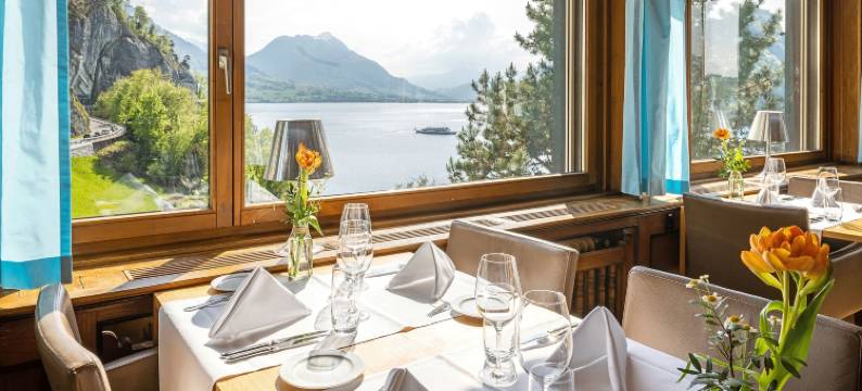 菲茨瑙阿尔卑斯植被湖泊与研讨会酒店(See- Und Seminarhotel FloraAlpina Vitznau)图片