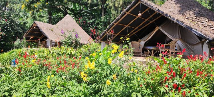 因祖旅馆(Inzu Lodge)图片