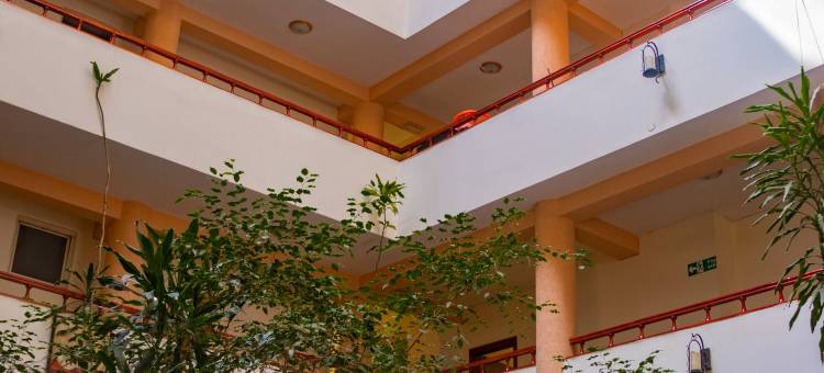 迪尔国际酒店(Dire International Hotel)图片