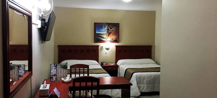 NV 瓜达拉哈拉酒店(Hotel NV Guadalajara)图片