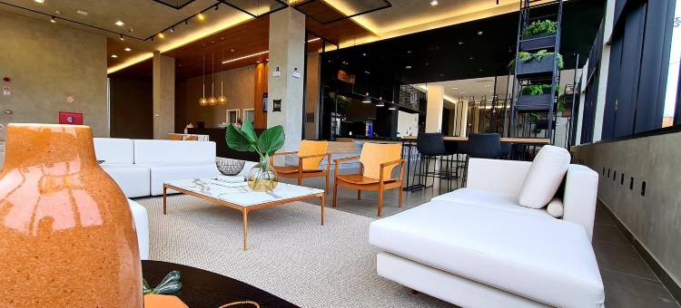 Ibis Nova Serrana图片