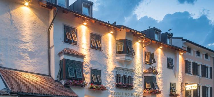 黄金莱斯酒店(Hotel Goldenes Roessl-Adults Only)图片