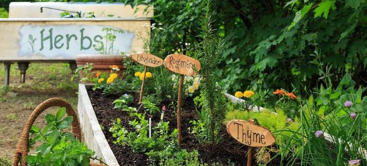 斯夸姆湖住宿加早餐旅馆(Squam Lake Inn)图片