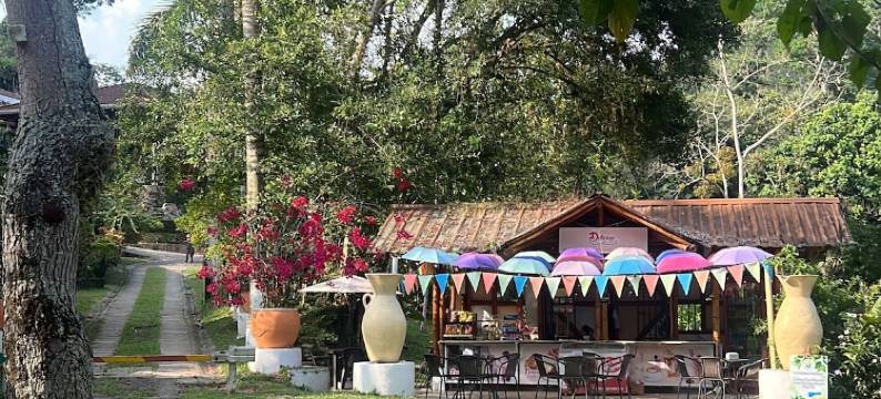 加勒比人 - 10(Las Caribeñas - 10)图片