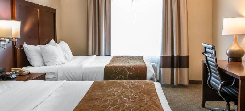 舒适套房酒店(Comfort Suites)图片