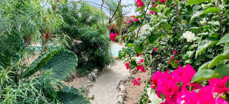 绿洋桑给巴尔精品酒店(Green Ocean Zanzibar Boutique Hotel)图片