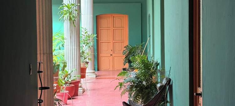 Ginger banana 青年旅舍(Ginger Banana Hostel)图片