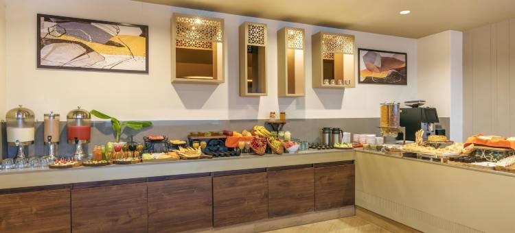 凯瓦迪亚团结雕像D广场酒店-丽笙臻选成员酒店(D Square Statue of Unity Kevadia, a member of Radisson Individuals)图片