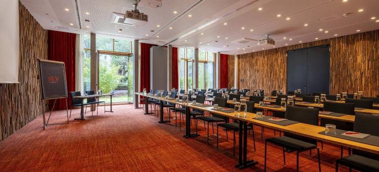 斯莱柏林(Sly Berlin)图片