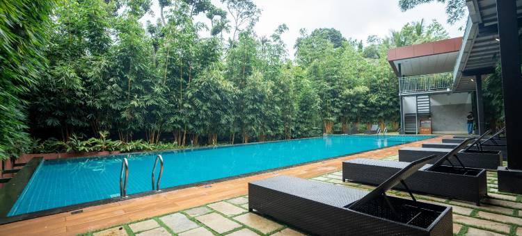 Serene Horizon图片