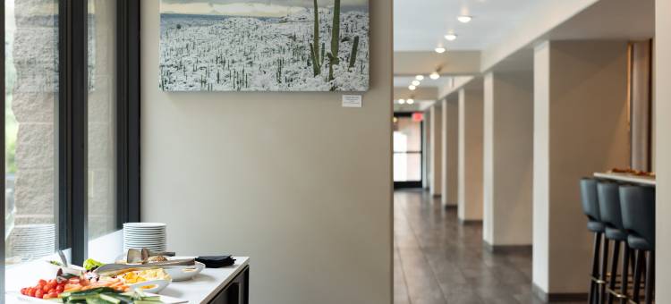 图森东希尔顿安泊酒店(Embassy Suites by Hilton Tucson East)图片