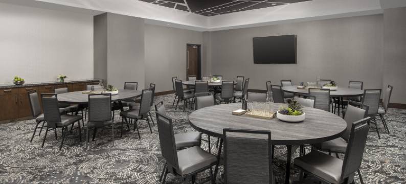 诺克斯维尔市中心希尔顿安泊酒店(Embassy Suites by Hilton Knoxville Downtown)图片