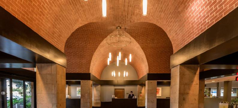 迈克艾伦希尔顿逸林套房酒店(DoubleTree Suites by Hilton McAllen)图片