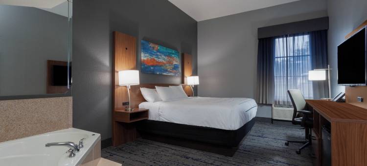 圣彼得堡东北拉昆塔温德姆套房酒店(La Quinta Inn & Suites by Wyndham St. Petersburg Northeast)图片