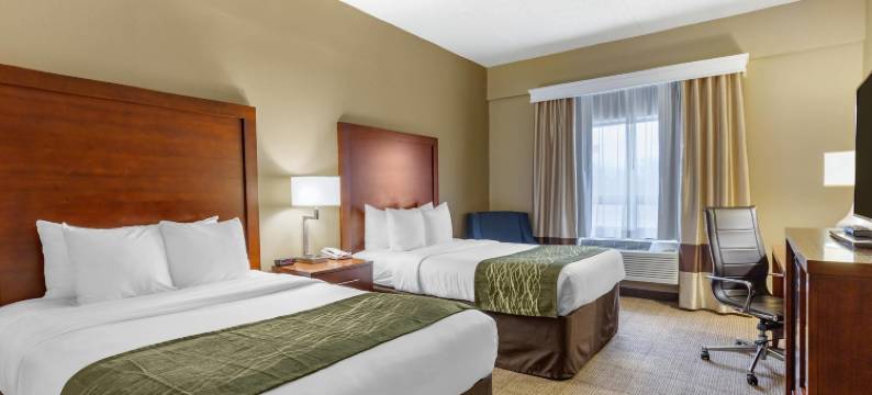 马丁斯堡舒适酒店(Comfort Inn Aikens Center)图片