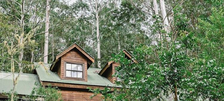 树梢木屋 - 您的雨林静居 与自然相伴。(Treetops - Your Rainforest RetreatSurround yourself with nature.)图片