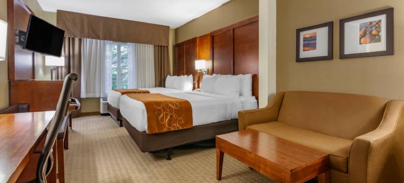 舒适套房酒店(Comfort Suites)图片