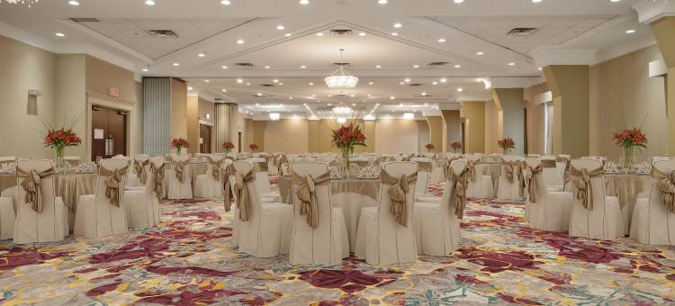 埃德蒙顿南部假日酒店会议中心(Holiday Inn Conference Ctr Edmonton South)图片