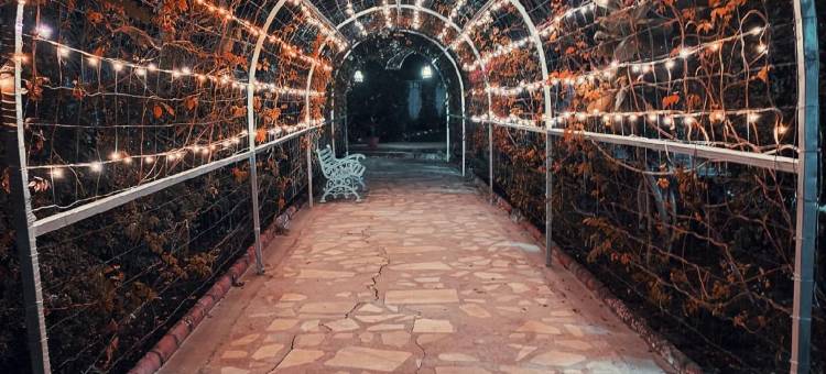 萨马尔达丛林度假村(Samardha Jungle Resort)图片