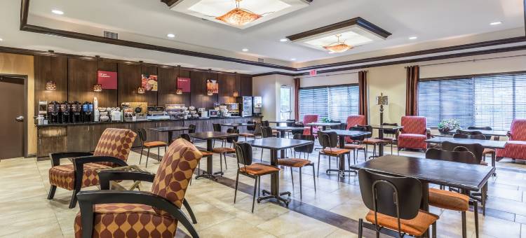 舒适套房酒店(Comfort Suites)图片