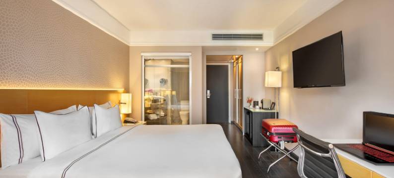 坎皮纳斯美利亚酒店(Melia Campinas)图片