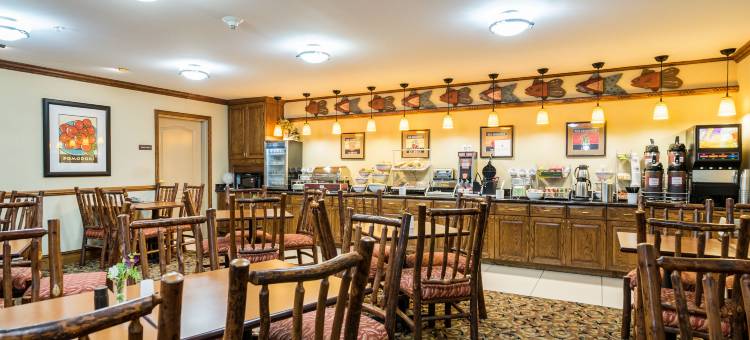 舒适套房酒店(Comfort Inn & Suites)图片