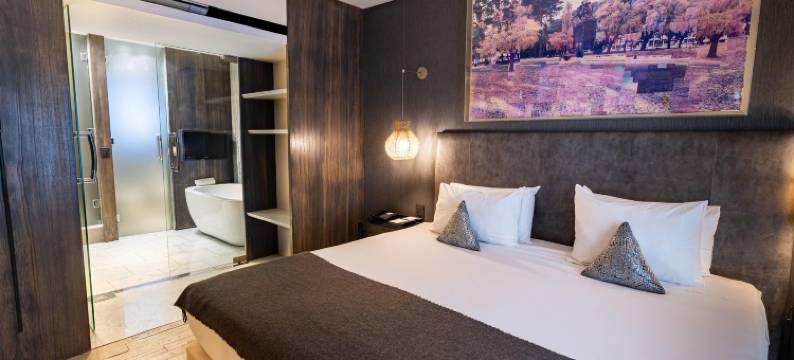 Esplendor by Wyndham Buenos Aires Plaza Francia图片