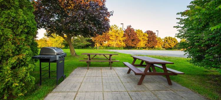 401高速路舒适酒店(Comfort Inn Hwy 401)图片