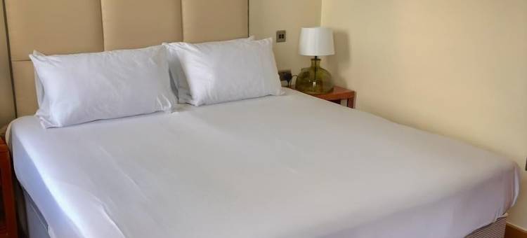 艾康酒店(Icon Hotel)图片