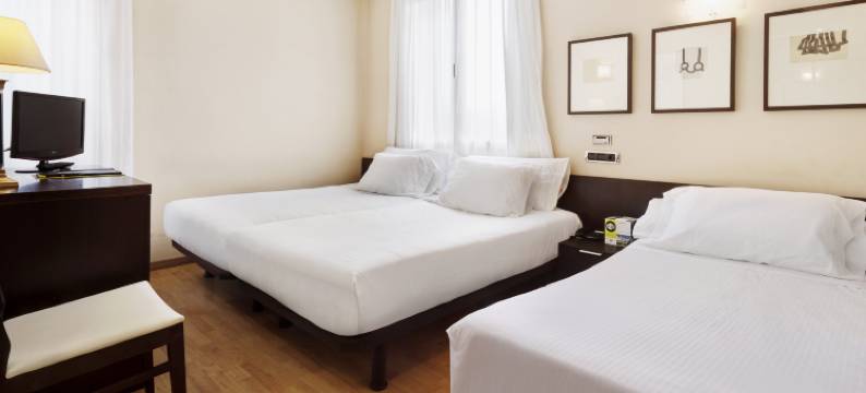 塞尔科蒂尔图德拉巴德纳斯酒店(Hotel Sercotel Tudela Bardenas)图片