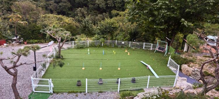 Gapyeong Four Seasons Valley Dog Pension图片