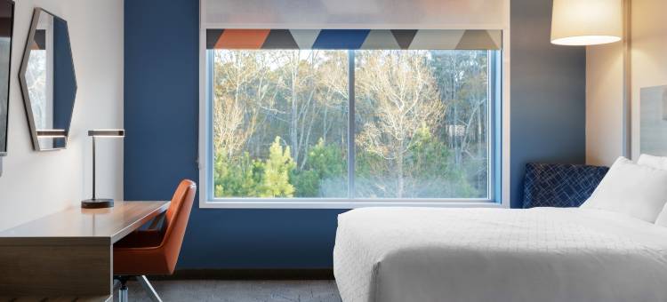 Holiday Inn Express & Suites LOS MOCHIS CENTRO by IHG图片