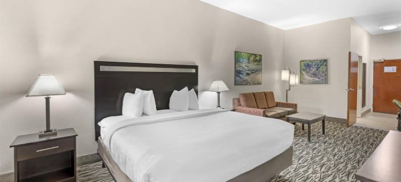 麦克多诺贝斯特韦斯特优质酒店及套房(Best Western Plus McDonough Inn  Suites)图片