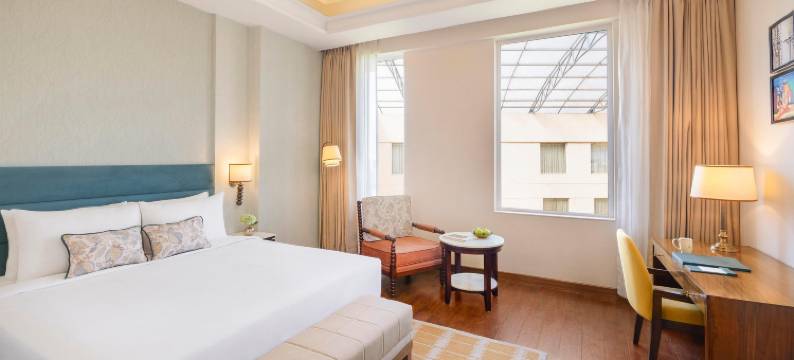 德拉敦塞弗特萨诺瓦高级酒店(Seyfert Sarovar Premiere Dehradun)图片