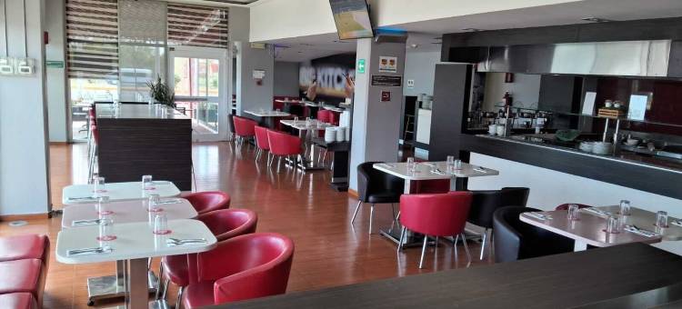 宜必思阿瓜斯卡连特斯北部酒店(Ibis Aguascalientes Norte)图片