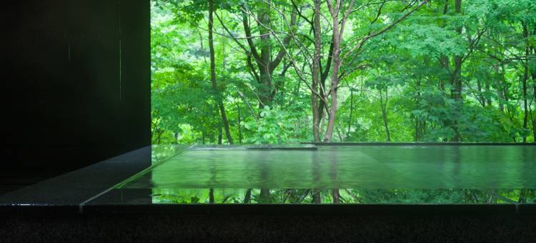 支笏湖第一宝亭留 翠山亭(Shikotsuko Daiichi Hotel Suizantei)图片