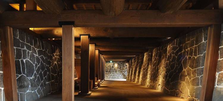 熊本新市街里士满酒店(Richmond Hotel Kumamoto Shinshigai)图片